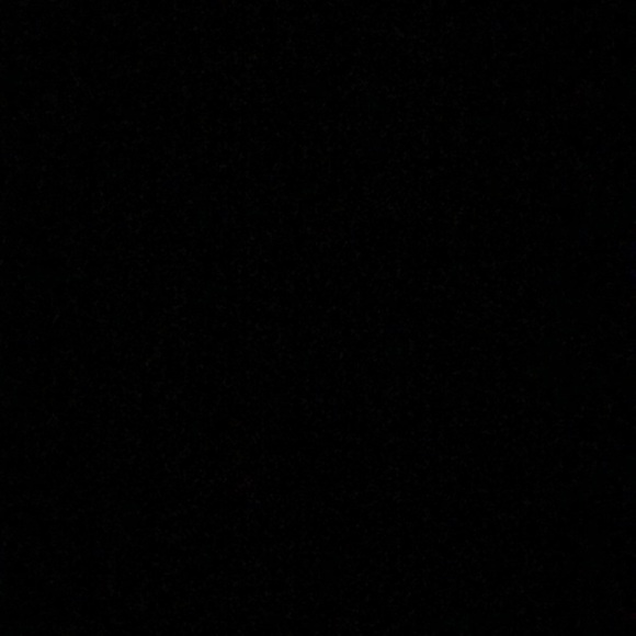 Meet your Posher, Dani - Picture 1 of 1